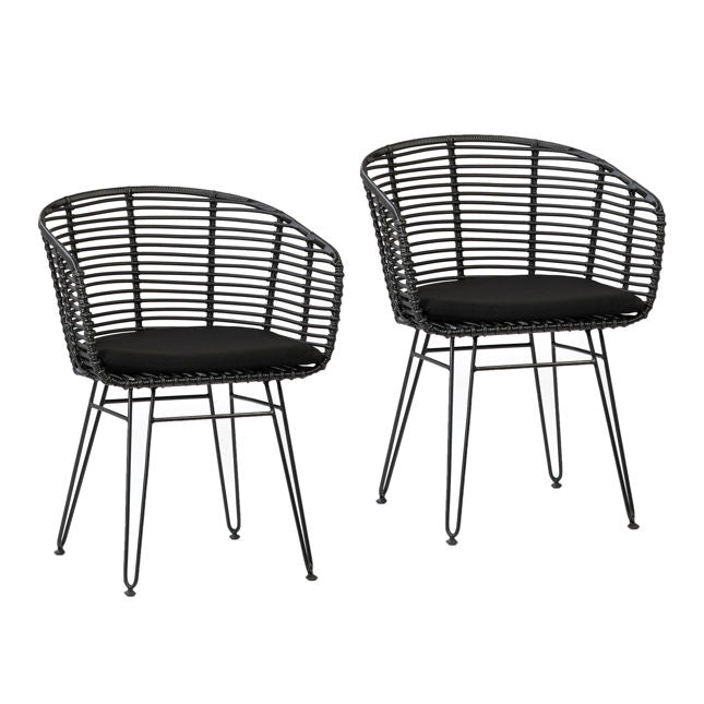 Ishani Outdoor Dining Chair Set Of 2