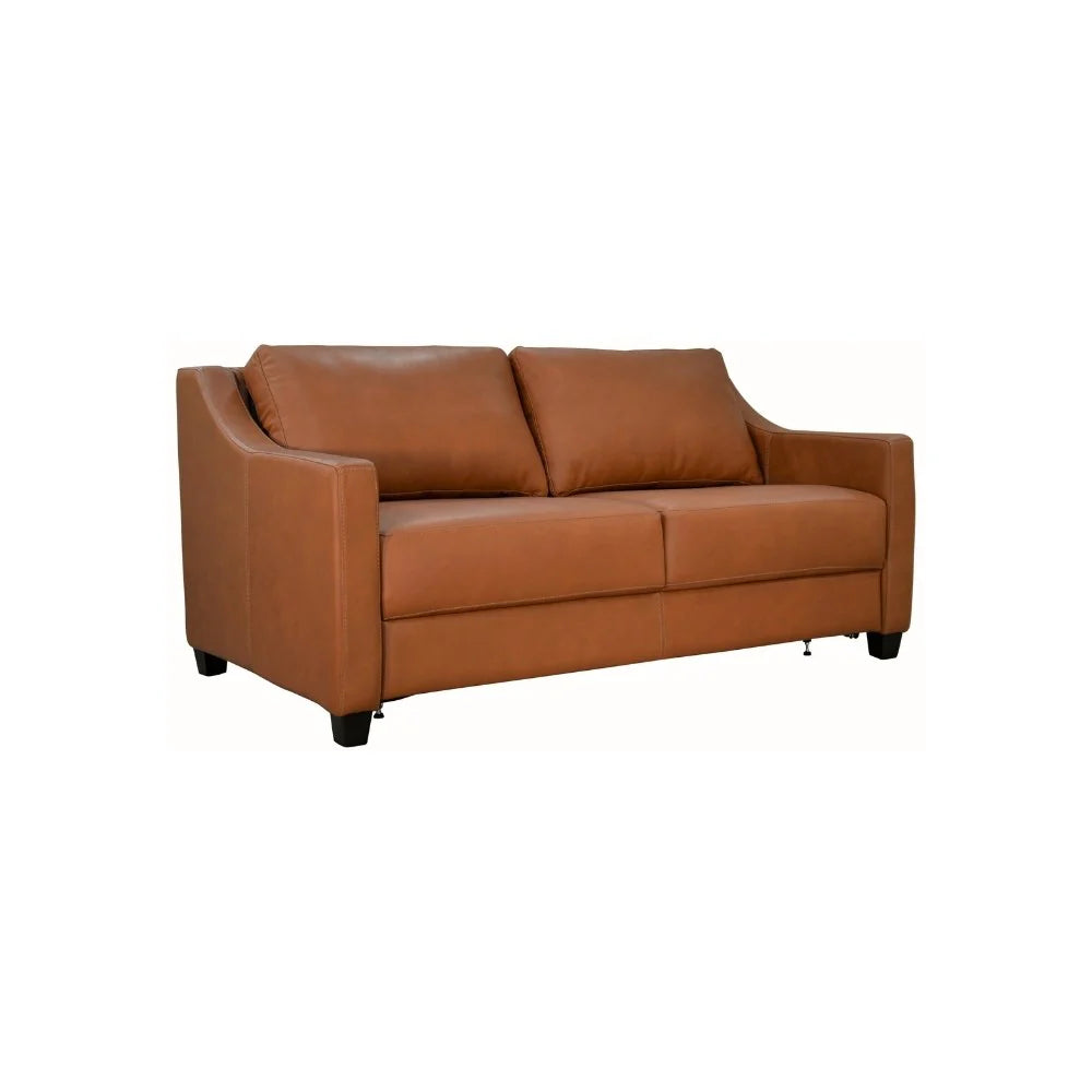 The Slofa Sleeper by Omnia Furniture - Joy 2C Queen Slofa – Silk Palomino