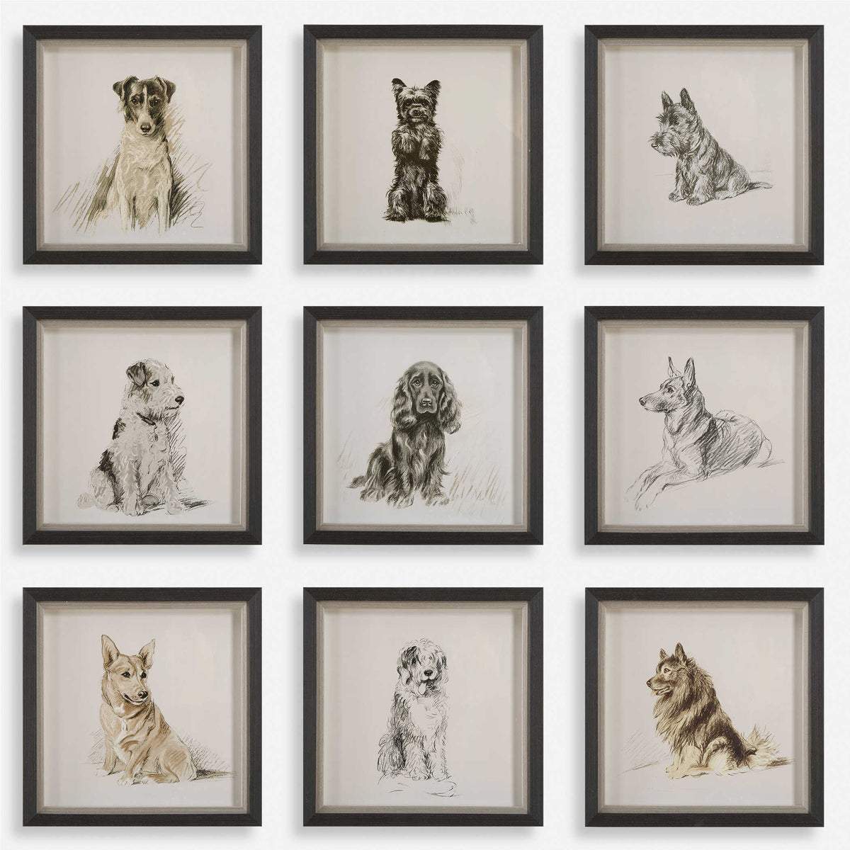 Loyal Companion Framed Prints, Set of 9