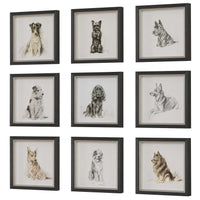 Loyal Companion Framed Prints, Set of 9