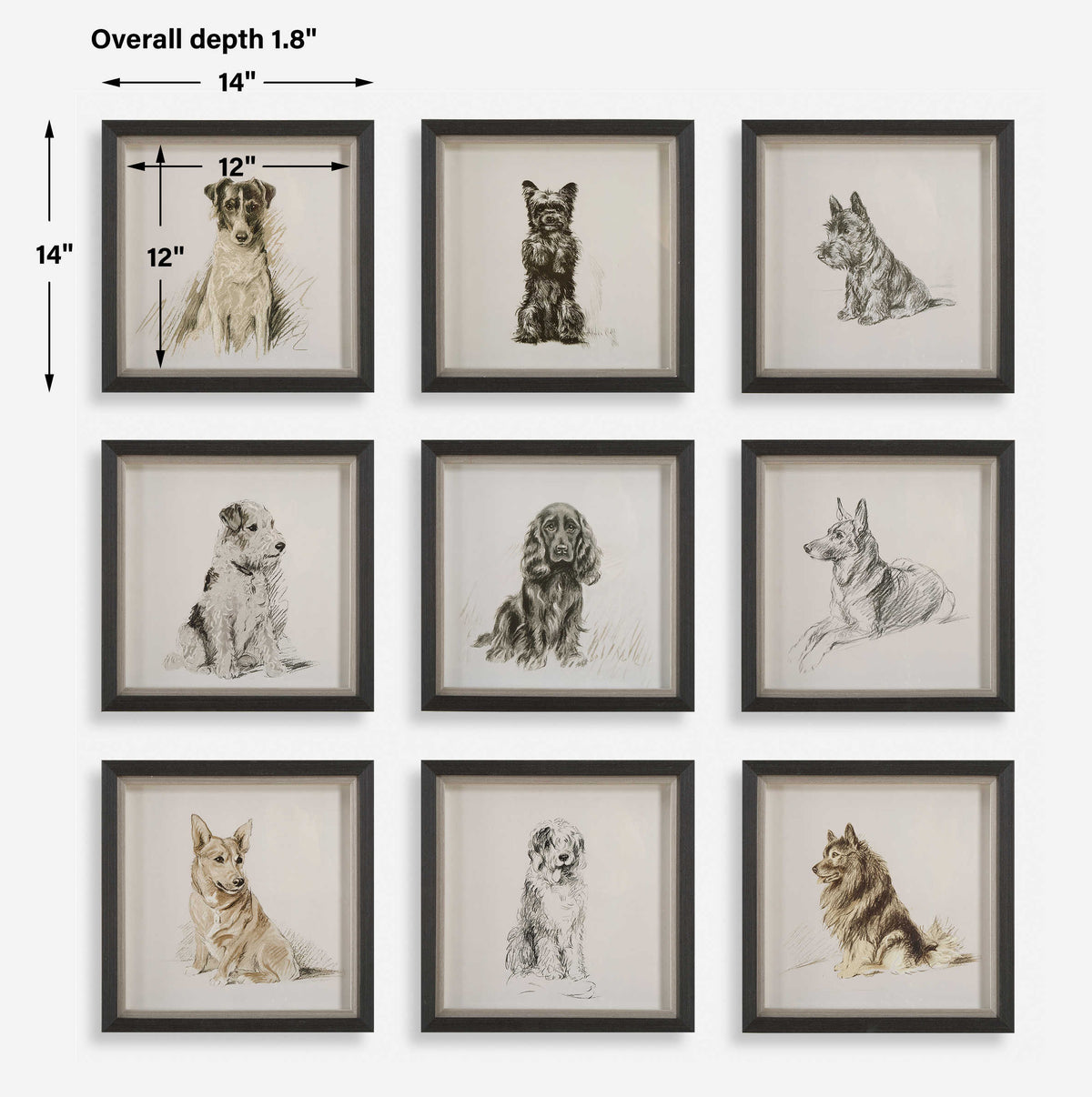 Loyal Companion Framed Prints, Set of 9