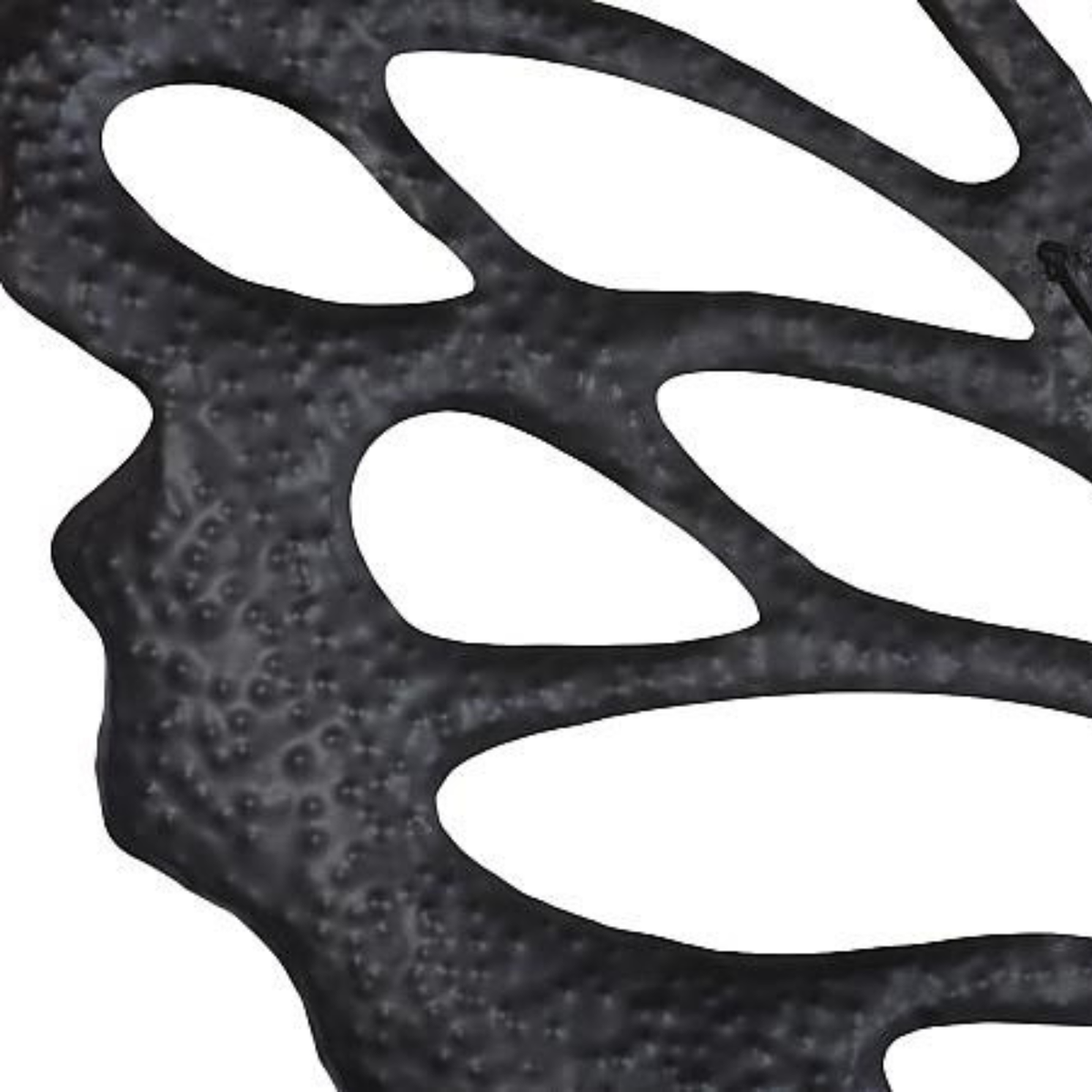 Butterfly Wall Art by The Phillips Collection