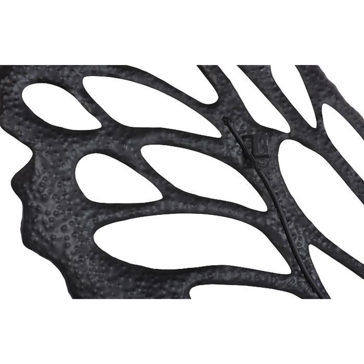 Butterfly Wall Art by The Phillips Collection