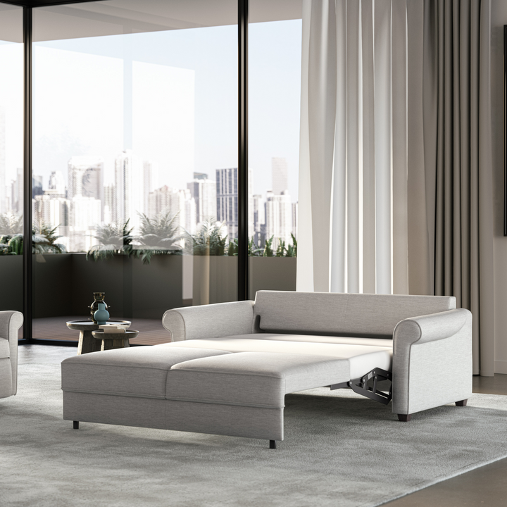 functional sleeper sofa
