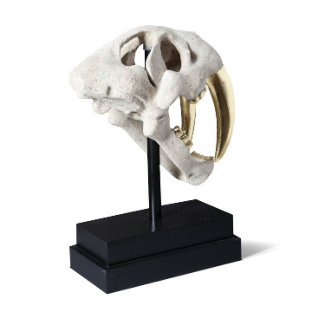 local portland home decor stores