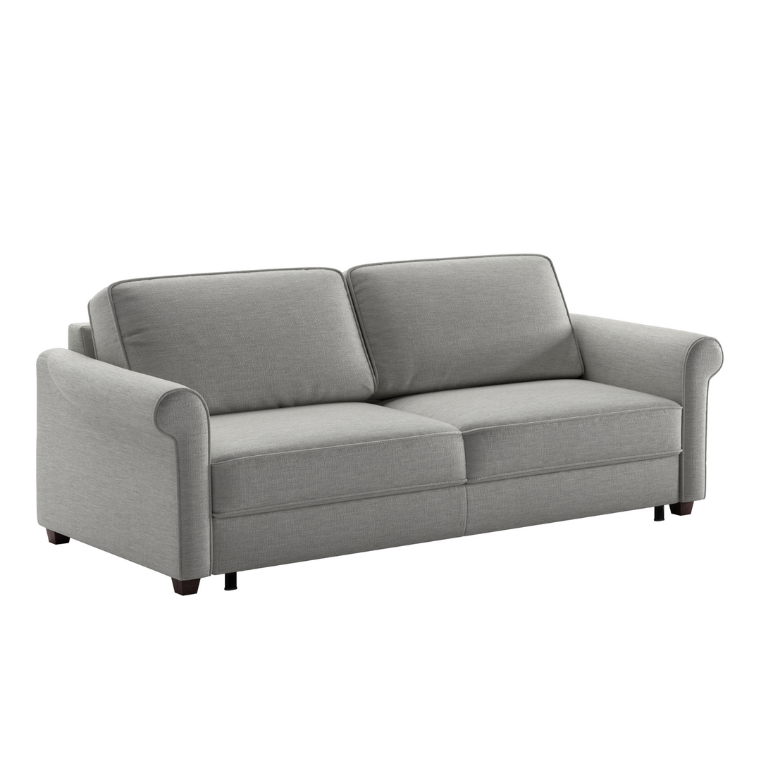 sleeper sofa