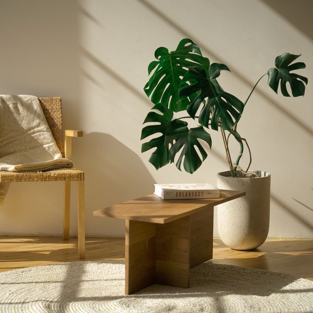 Aisle Coffee Table