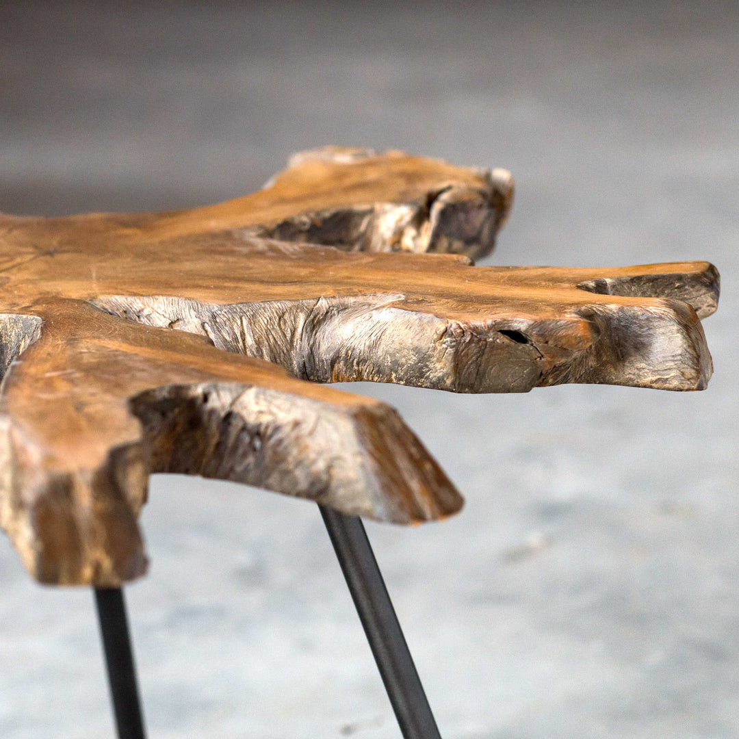 teak root coffee table