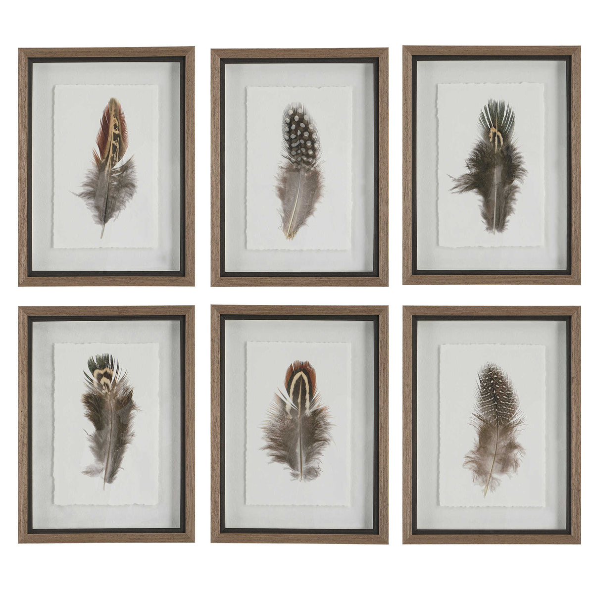 Birds of a Feather Print Set