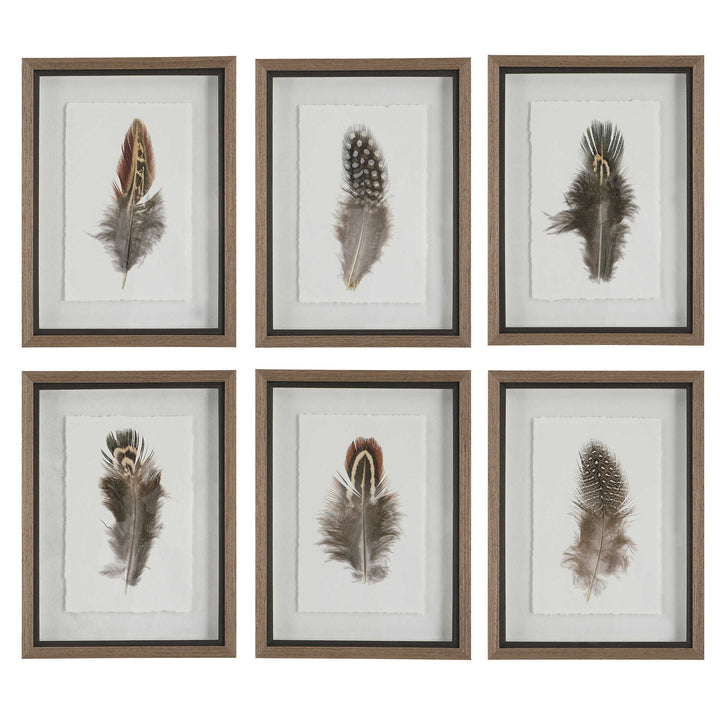 Birds of a Feather Print Set